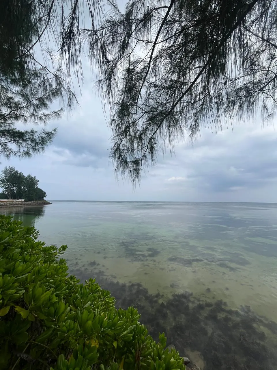 Meerblick bei Anse Aux Pins